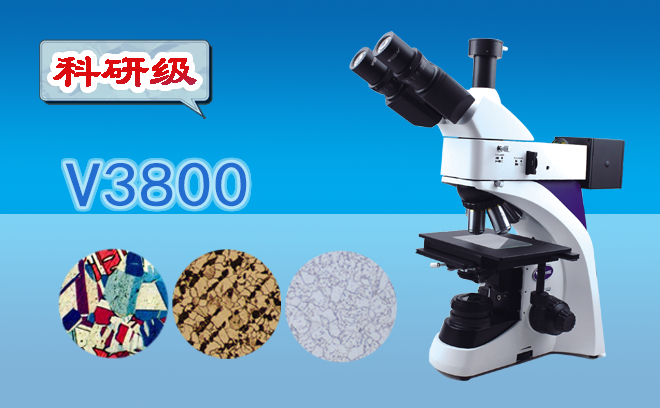 1698116263711589.png 金相顯微鏡.png